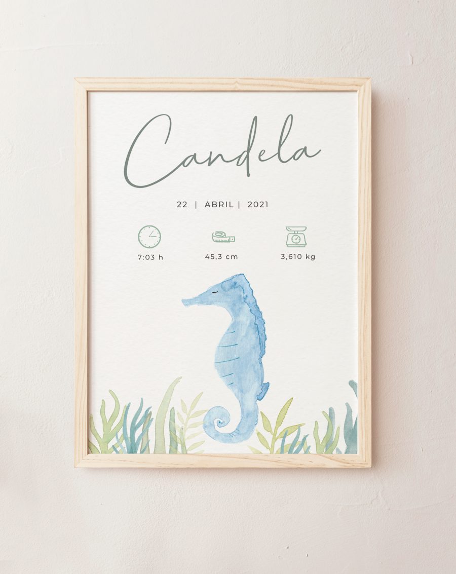 Lámina bebé personalizada - Natalicio Caballito de mar